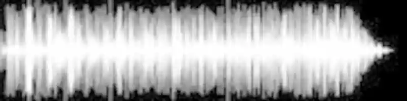 Free download Capoeira Vol.1 free photo or picture to be edited with GIMP online image editor