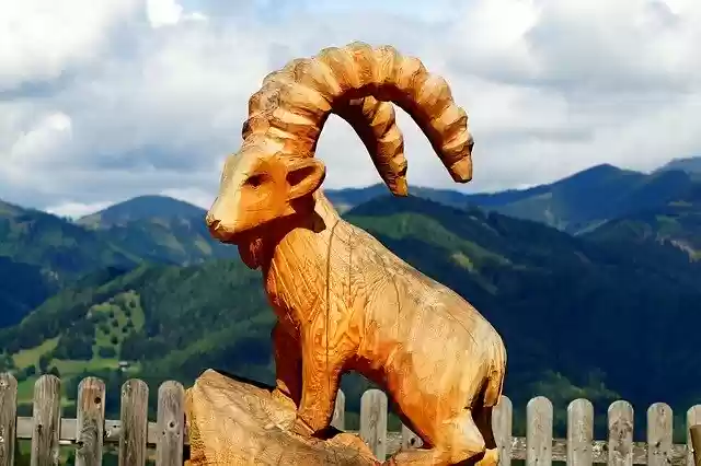 Free download Capricorn Animal Horn -  free photo or picture to be edited with GIMP online image editor