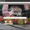 Capuchin Monkey  screen for extension Chrome web store in OffiDocs Chromium