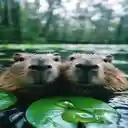 Capybaras wallpaper  screen for extension Chrome web store in OffiDocs Chromium