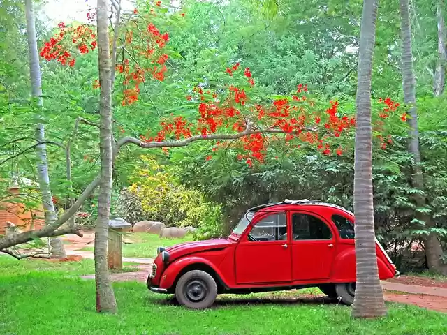 Free download car citroen 2cv red classic old free picture to be edited with GIMP free online image editor