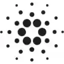 Cardano Hoje  screen for extension Chrome web store in OffiDocs Chromium