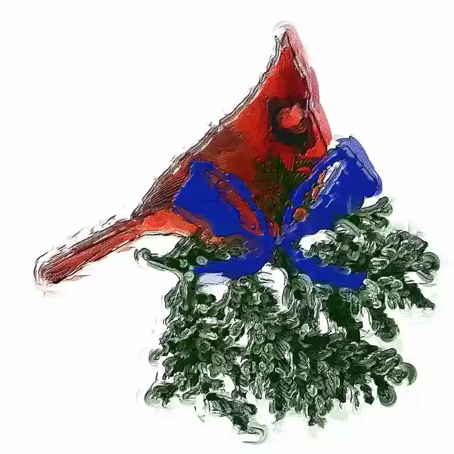 Free download Cardinal Bird Nature -  free illustration to be edited with GIMP online image editor