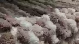 Free download Carpet Cream Decoration -  free video to be edited with OpenShot online video editor