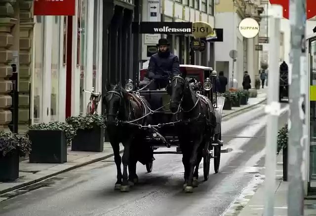 Free download carriage horses fiaker coach free picture to be edited with GIMP free online image editor