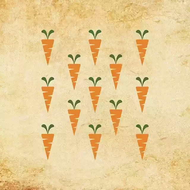 Free download Carrot Carrots Vintage -  free illustration to be edited with GIMP free online image editor