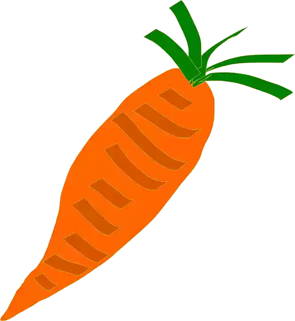 Free download Carrot Orange Vegetable - Free vector graphic on Pixabay free illustration to be edited with GIMP free online image editor
