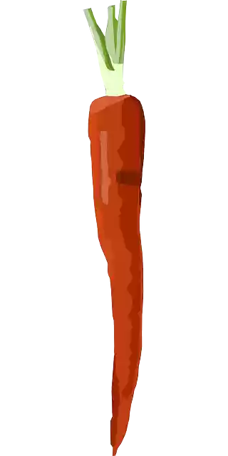 Free download Carrot Vegetable Food - Free vector graphic on Pixabay free illustration to be edited with GIMP free online image editor