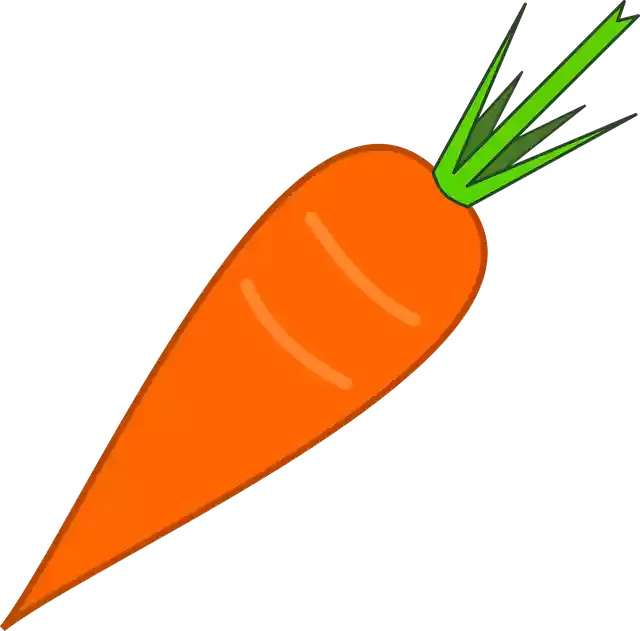 Free download Carrot Vegetables Food - Free vector graphic on Pixabay free illustration to be edited with GIMP free online image editor