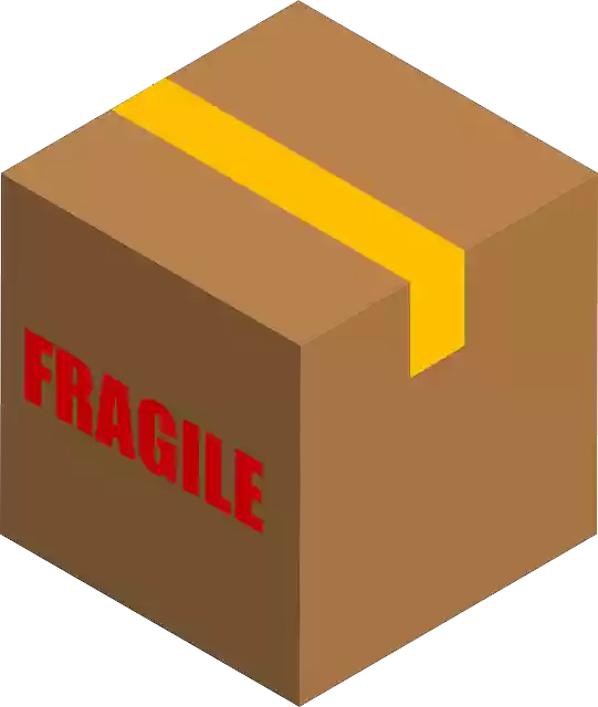 Free download Carton Box Fragile - Free vector graphic on Pixabay free illustration to be edited with GIMP free online image editor