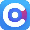 Cash Organizer  screen for extension Chrome web store in OffiDocs Chromium