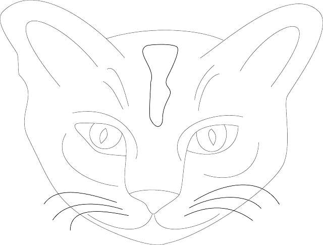 Free download Cat Animal - Free vector graphic on Pixabay free illustration to be edited with GIMP free online image editor