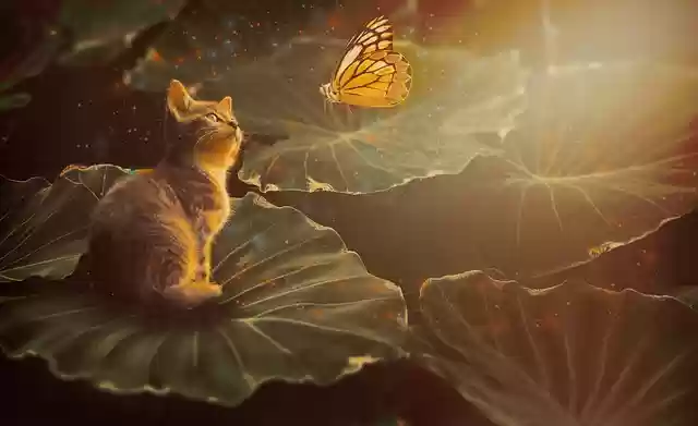 Free download cat butterfly leaves nature free picture to be edited with GIMP free online image editor