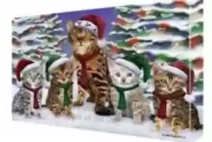 Free download Cat Doggie Of The Day: Pet Gifts and Accessories for Cat and Dog Lovers free photo or picture to be edited with GIMP online image editor