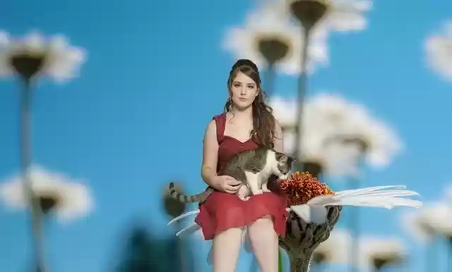Free download Cat Girl Woman -  free photo or picture to be edited with GIMP online image editor