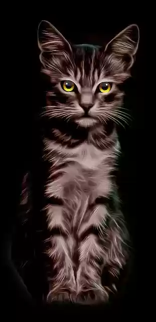تنزيل مجاني رسم توضيحي مجاني من Cat Illustration Yellow Eyes ليتم تحريره باستخدام محرر الصور عبر الإنترنت GIMP