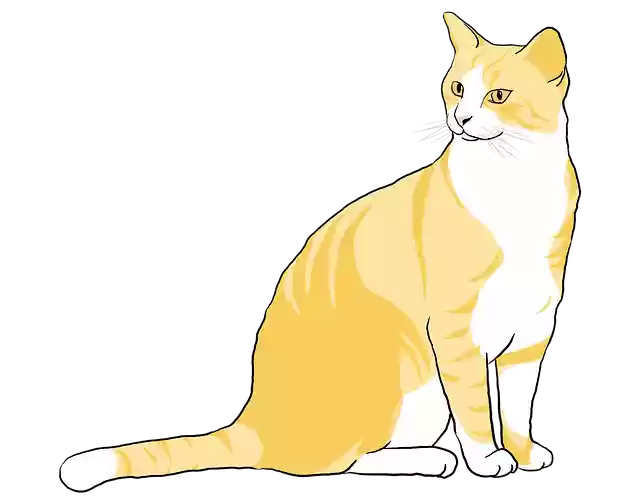 Download gratuito Cat Kitten Kitty illustrazione gratuita da modificare con l'editor di immagini online GIMP