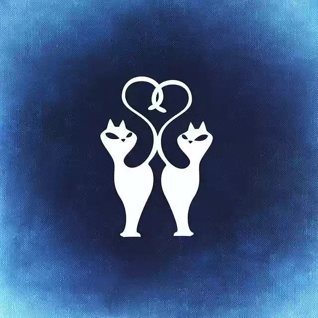 Free download Cat Love Togetherness -  free illustration to be edited with GIMP free online image editor