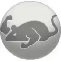 Free download catmouse free photo or picture to be edited with GIMP online image editor