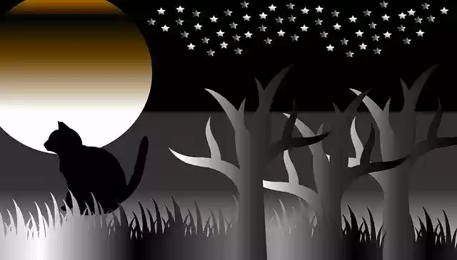 Free download Cat Twilight Dusk -  free illustration to be edited with GIMP free online image editor
