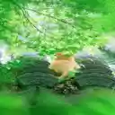 Cat under tree foliage wallpaper  screen for extension Chrome web store in OffiDocs Chromium