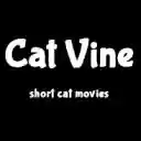 Cat Vine Lite | ショート猫動画  screen for extension Chrome web store in OffiDocs Chromium