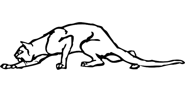 Descărcare gratuită Cat Wild Dangerous - Grafică vectorială gratuită pe Pixabay ilustrație gratuită pentru a fi editată cu editorul de imagini online gratuit GIMP