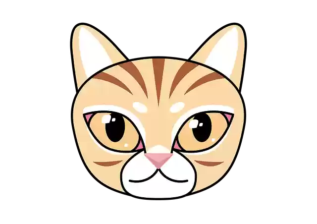 Free download Cat Winner Of The Tabby Animal -  free illustration to be edited with GIMP free online image editor