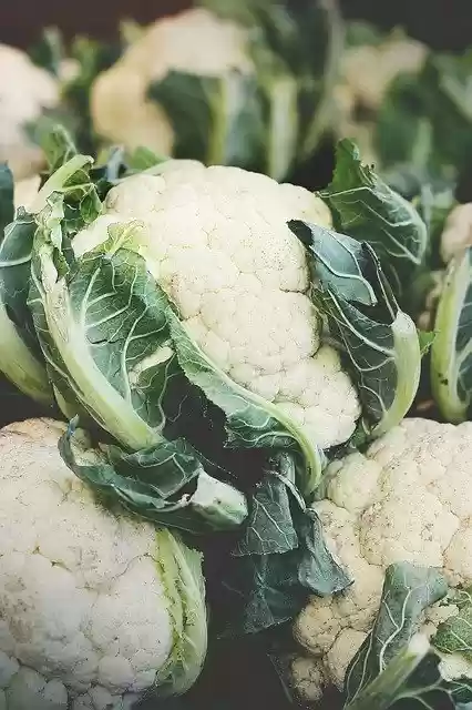 Free download cauliflower brassica oleracea var free picture to be edited with GIMP free online image editor