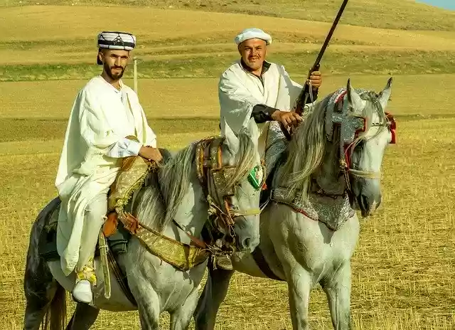 Free download Cavalry Fantazia Wedding -  free photo or picture to be edited with GIMP online image editor