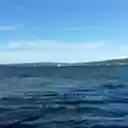 Cayuga Lake  screen for extension Chrome web store in OffiDocs Chromium