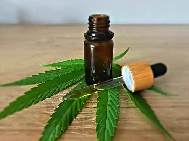 Free download Cbd Öl Hemp -  free photo or picture to be edited with GIMP online image editor