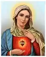 Free download C Data Users Def Apps App Data INTERNETEXPLORER Temp Saved Images 5sagradocorazndemara free photo or picture to be edited with GIMP online image editor