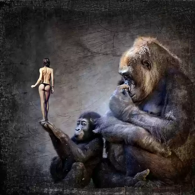 Free download cd cover gorilla ape woman naked free picture to be edited with GIMP free online image editor