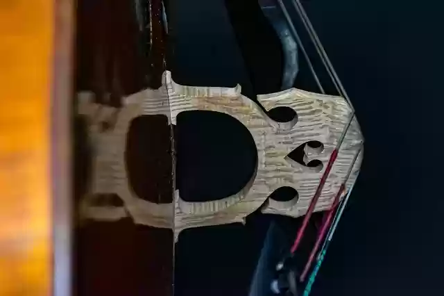 Free download Cello Bridge Musical -  free photo or picture to be edited with GIMP online image editor