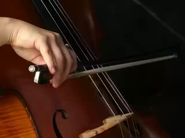 Free download Cello Musician String -  free photo or picture to be edited with GIMP online image editor