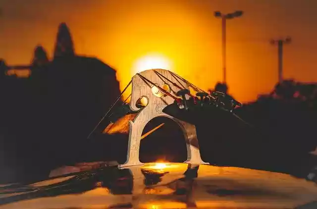 Free download cello strings sunset free picture to be edited with GIMP free online image editor