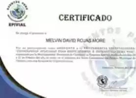 Free download Certificado Epivial free photo or picture to be edited with GIMP online image editor