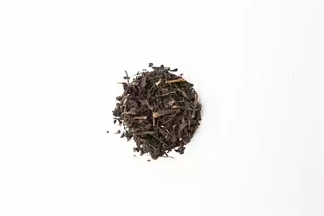 Free download Ceylon Black Tea -  free photo or picture to be edited with GIMP online image editor