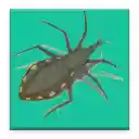 chagame  screen for extension Chrome web store in OffiDocs Chromium