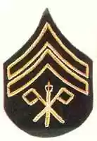 Free download Chain-Stitched U.S. Army Chevrons on Denim Cloth, 1920-1940 free photo or picture to be edited with GIMP online image editor