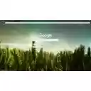 Chameleon on Crops  screen for extension Chrome web store in OffiDocs Chromium
