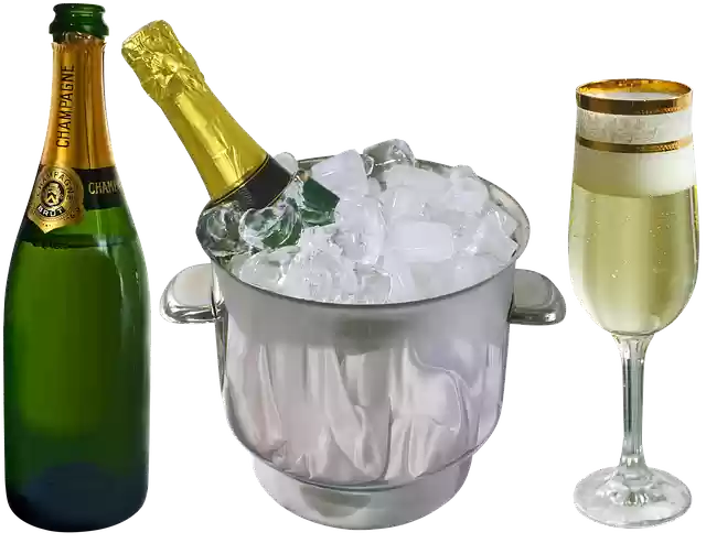 Free download Champagne Wine Alcohol -  free free photo or picture to be edited with GIMP online image editor