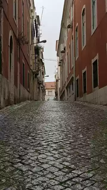 Free download Characteristic Lisbon Rose -  free free photo or picture to be edited with GIMP online image editor