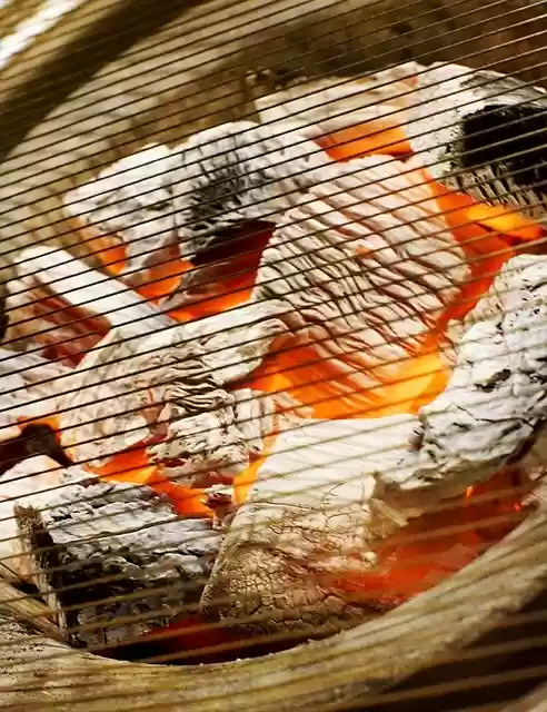 Free download Charcoal Fire Barbecues Light -  free photo or picture to be edited with GIMP online image editor