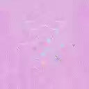 Charlottes 


<div>
<p></p>



<div class=