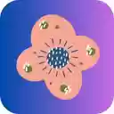 Chat GPT ToolKit  screen for extension Chrome web store in OffiDocs Chromium