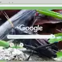 Chau Chau Den  screen for extension Chrome web store in OffiDocs Chromium