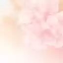 Cherry Blossom Branches in Bloom on Pink  screen for extension Chrome web store in OffiDocs Chromium