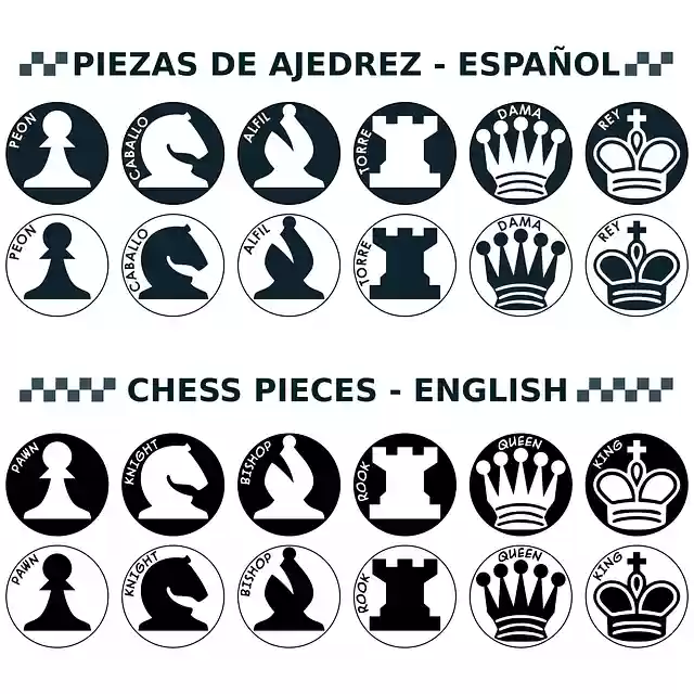 Free download Chess Parts With Names Figures - Free vector graphic on Pixabay free illustration to be edited with GIMP free online image editor